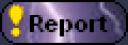 report.png