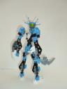 certavus_002.jpg