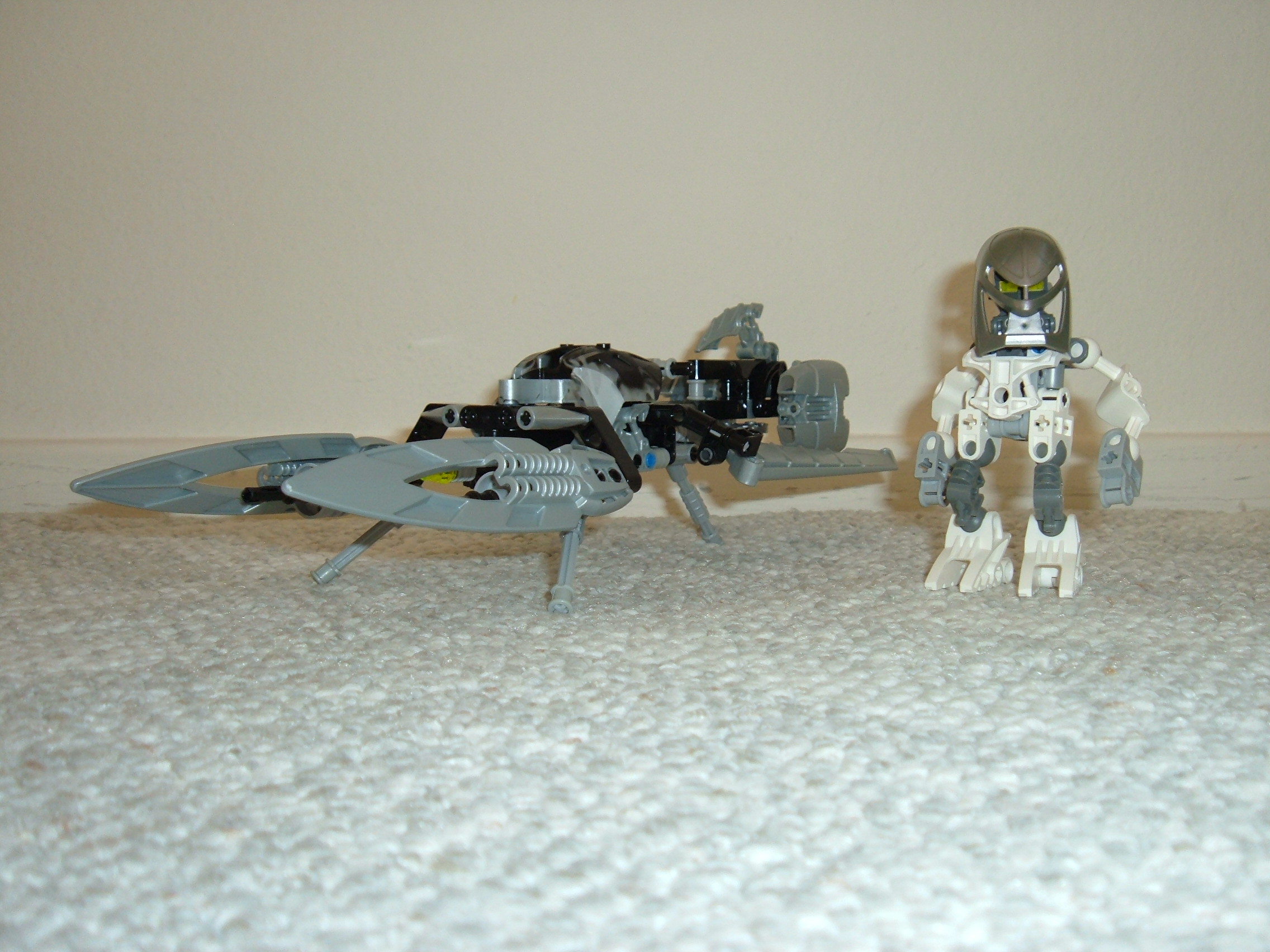smallmatoran_019.jpg