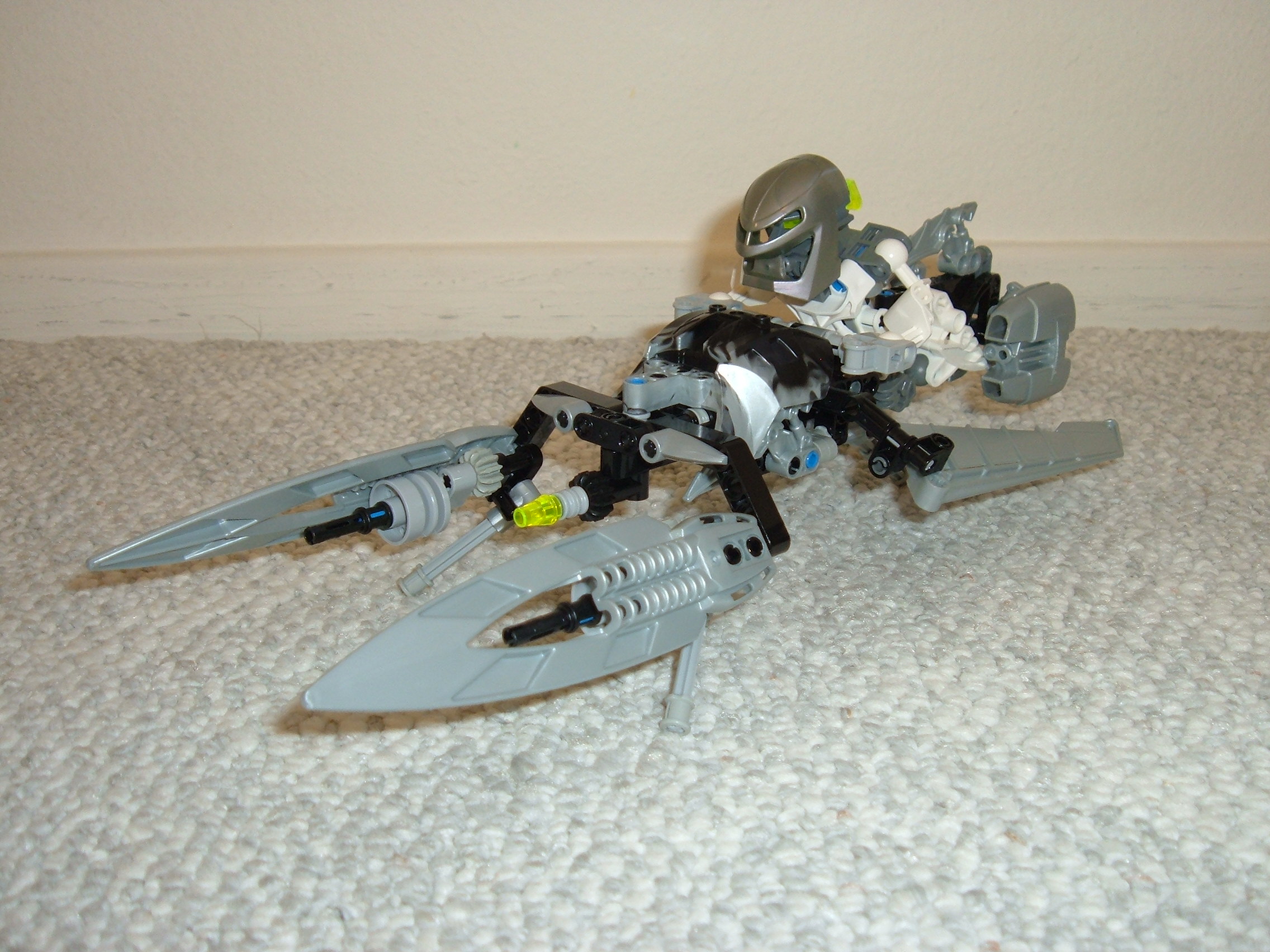 smallmatoran_024.jpg