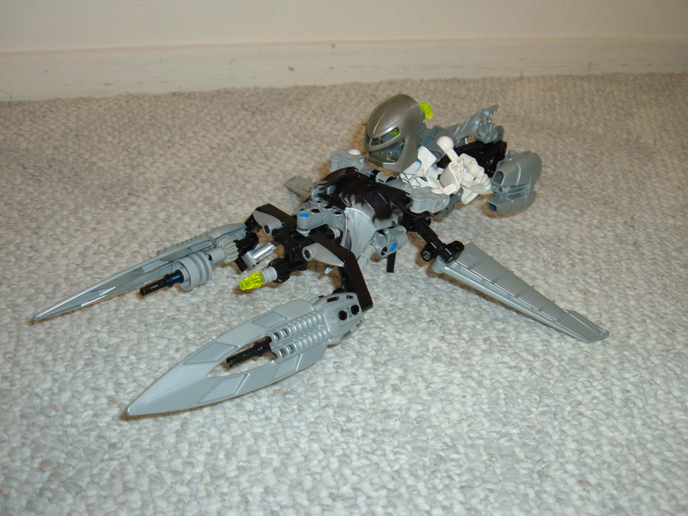 smallmatoran_025.jpg