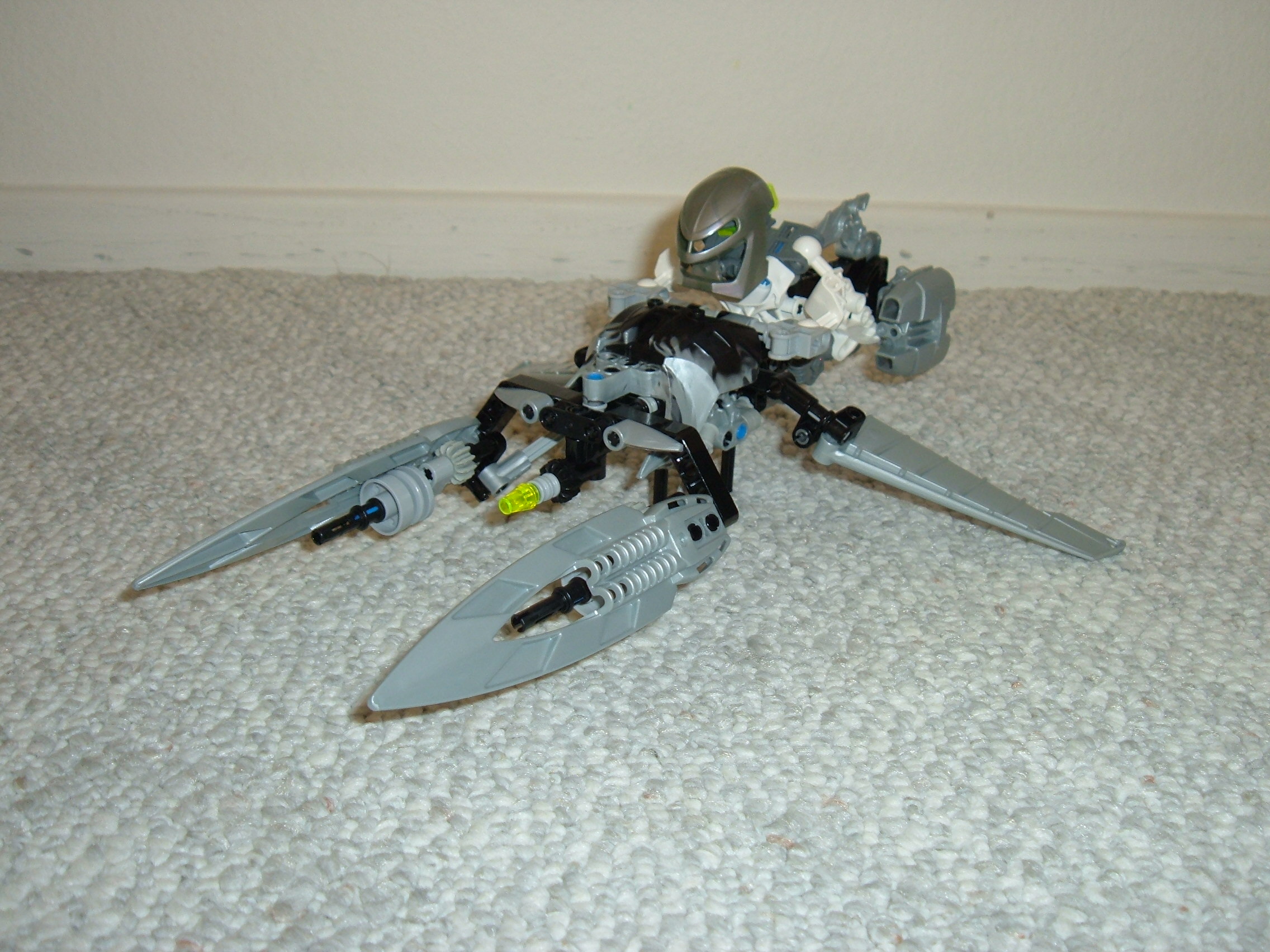 smallmatoran_028.jpg