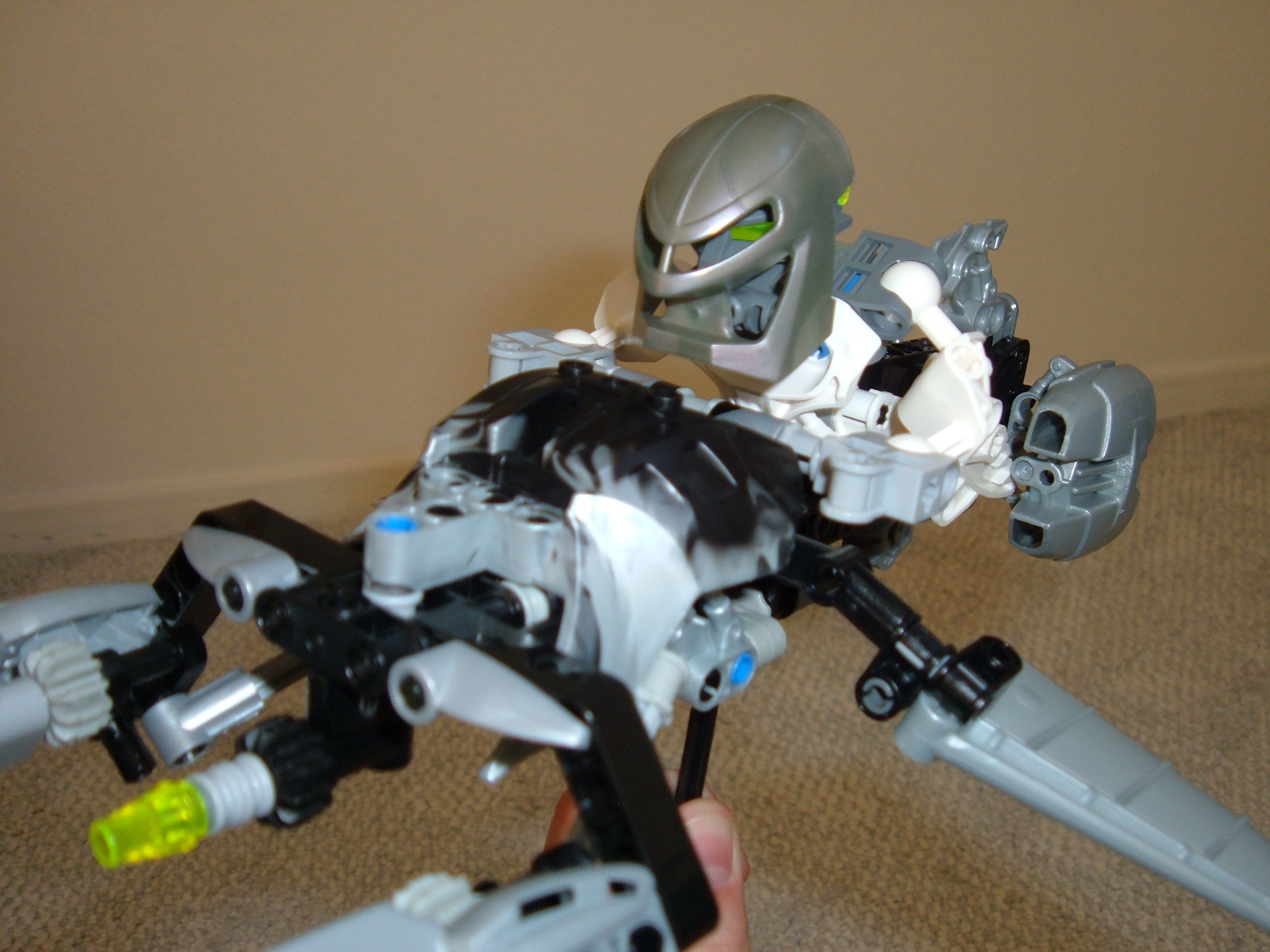 smallmatoran_030.jpg