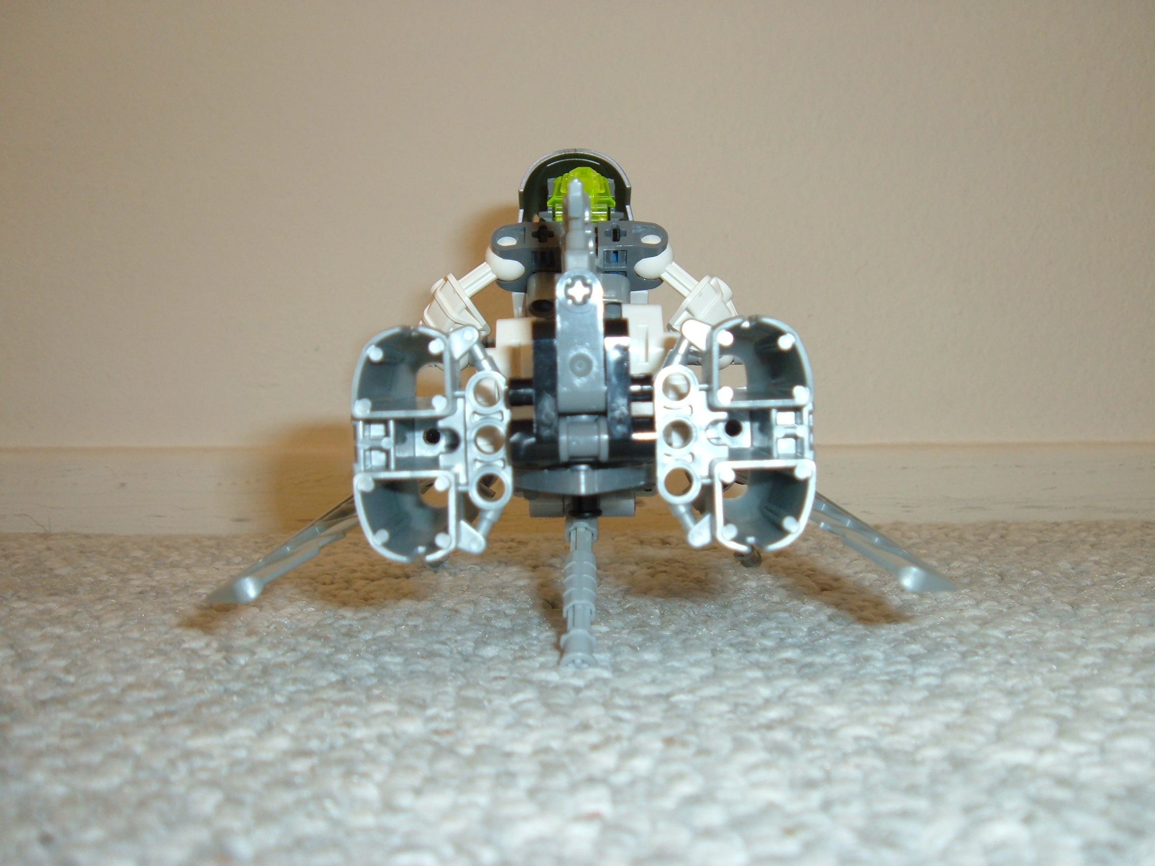 smallmatoran_035.jpg