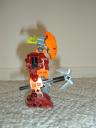 smallmatoran_012.jpg