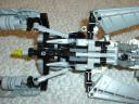 smallmatoran_034.jpg