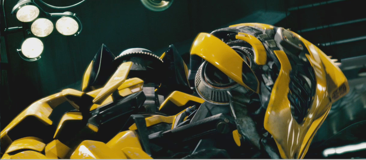 06_bumblebee_profile.png