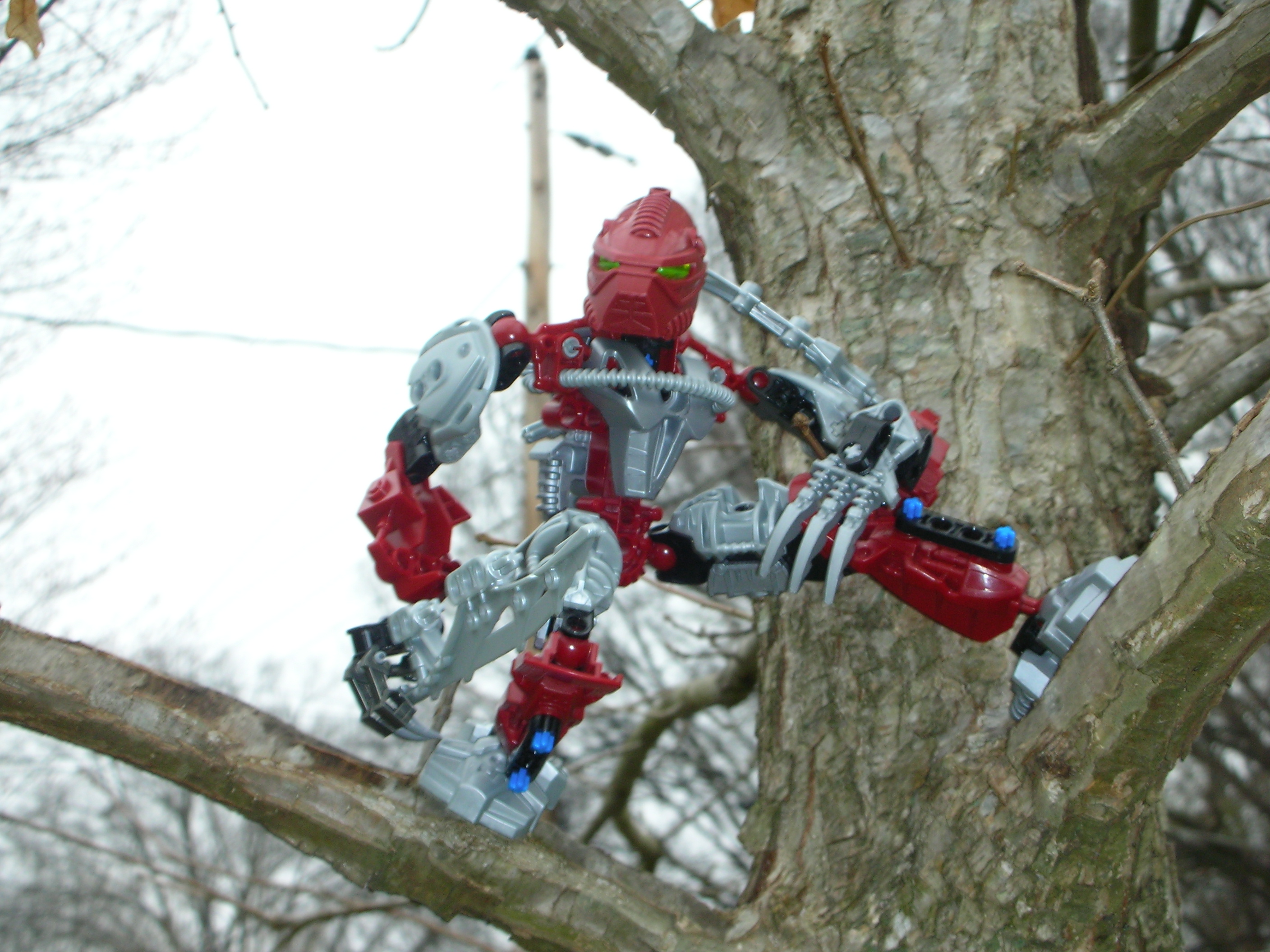 dscn2466.jpg