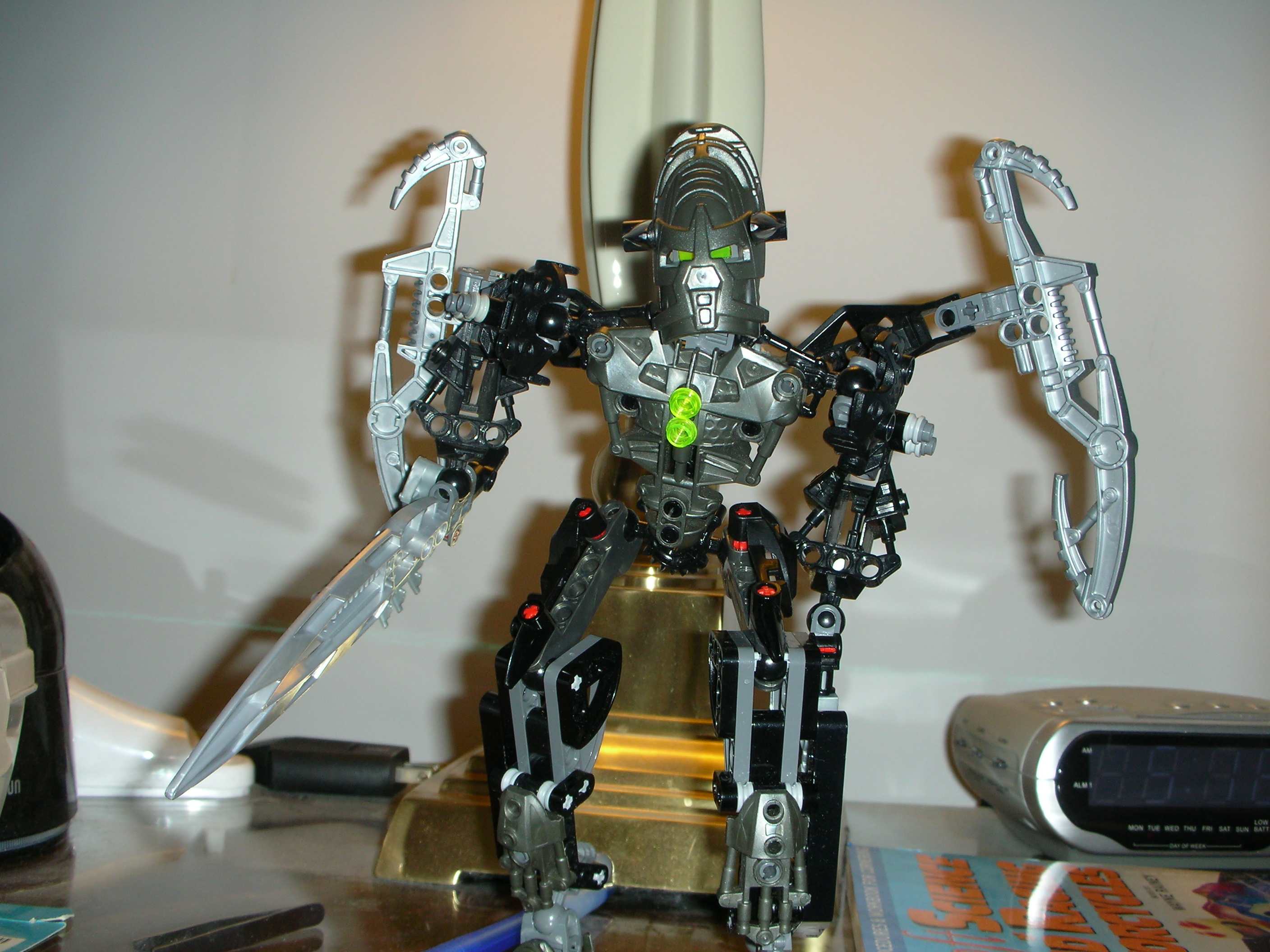 dscn2481.jpg