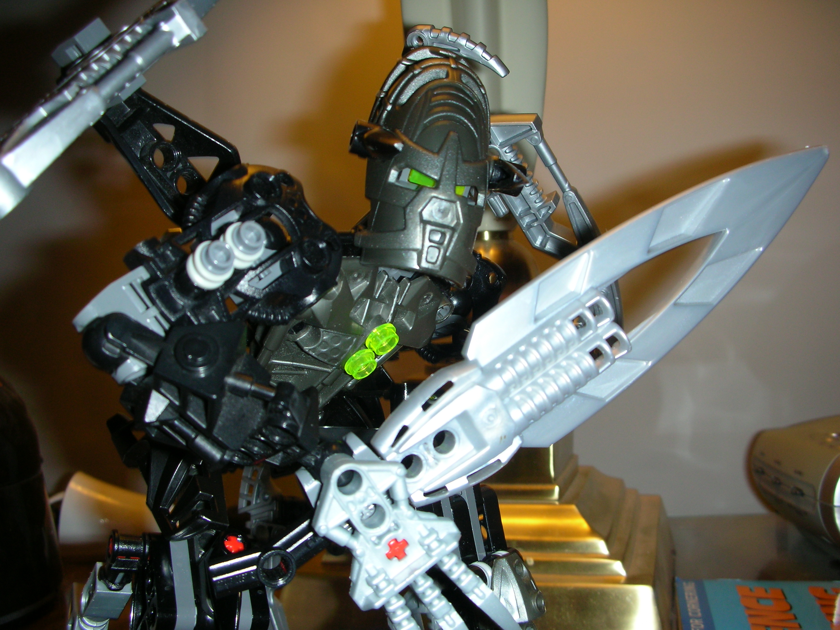 dscn2482.jpg