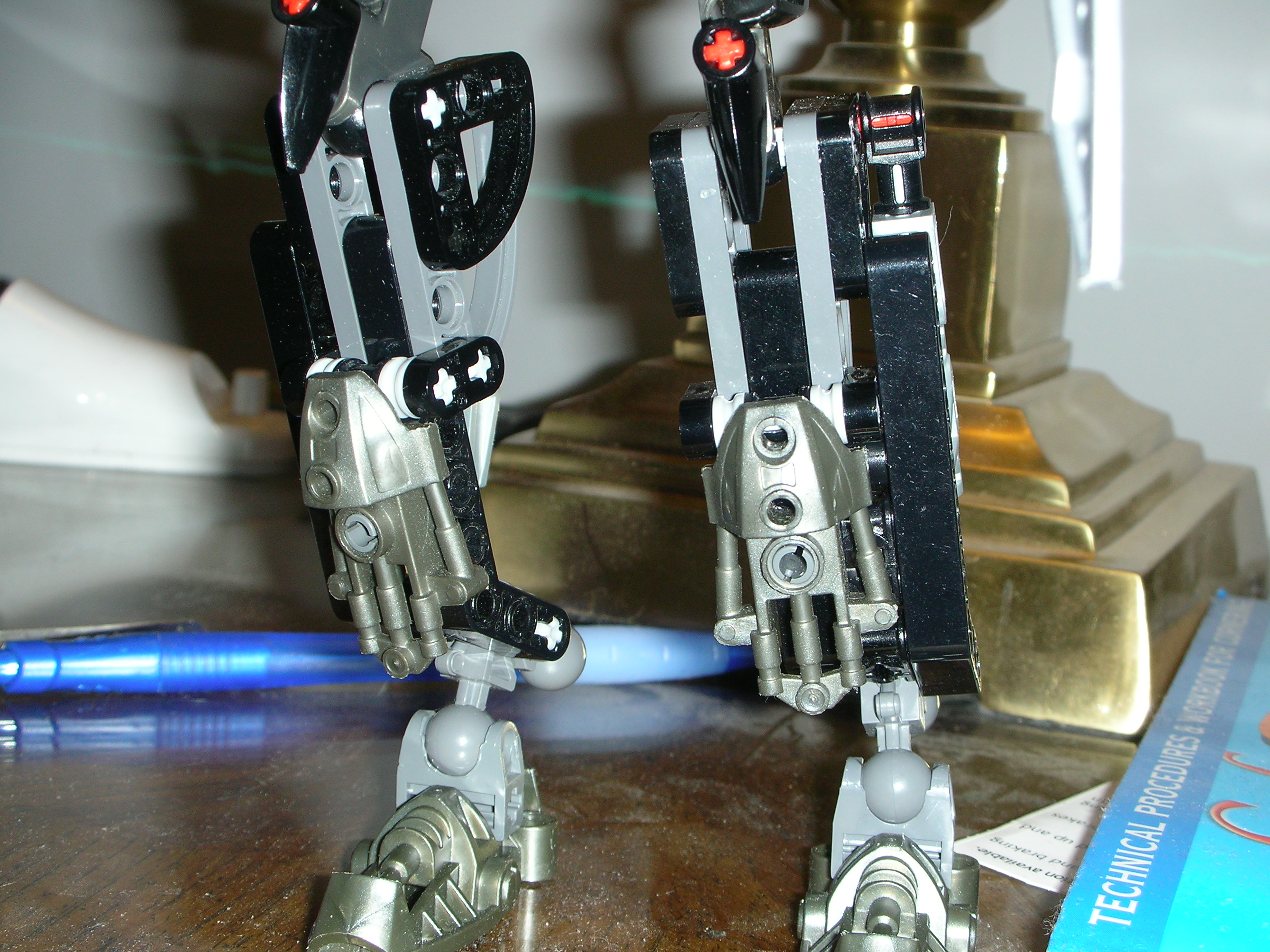 dscn2487.jpg