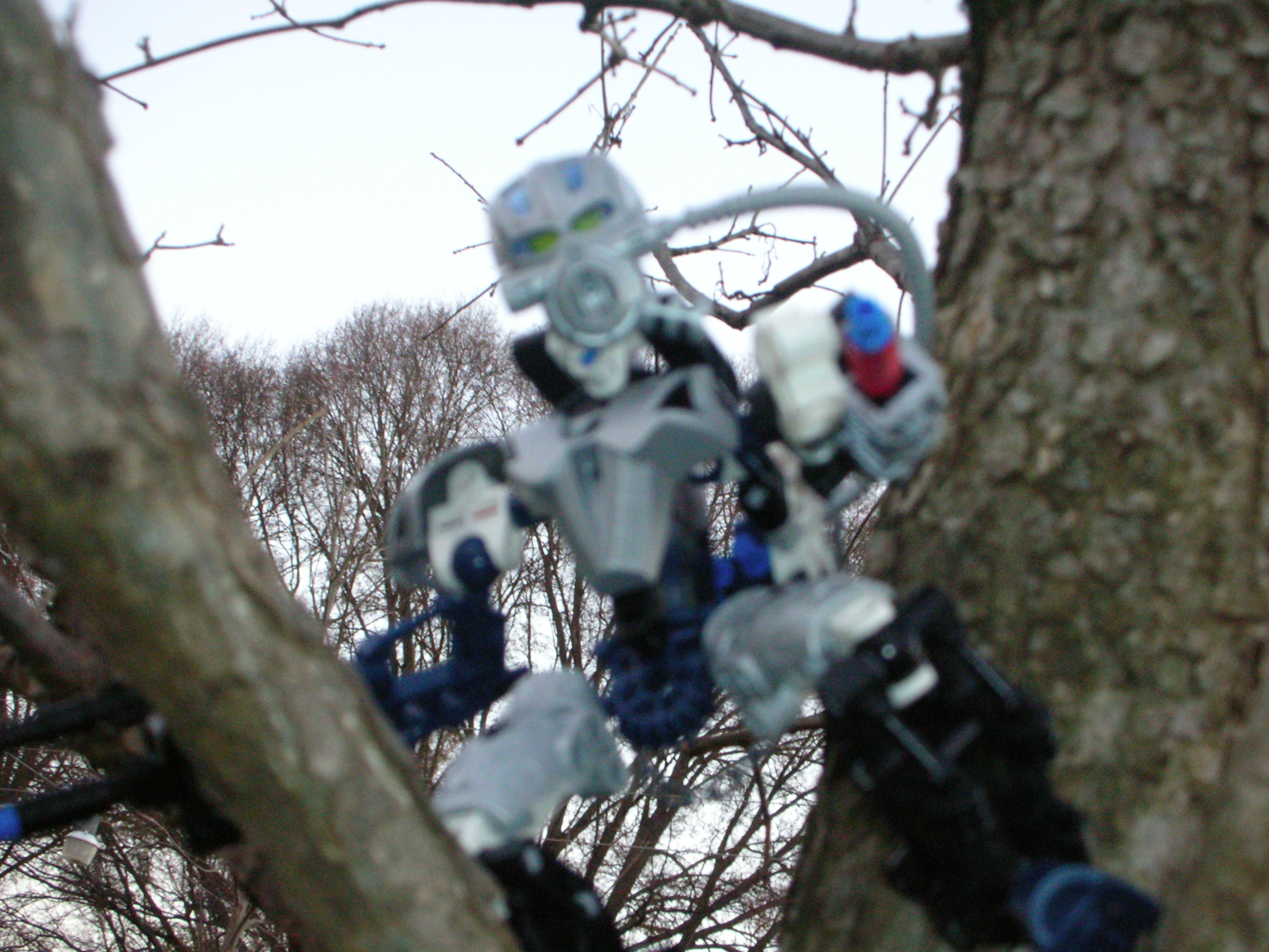 dscn2204.jpg
