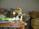 dscn2157.jpg