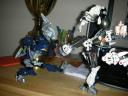 dscn2637.jpg