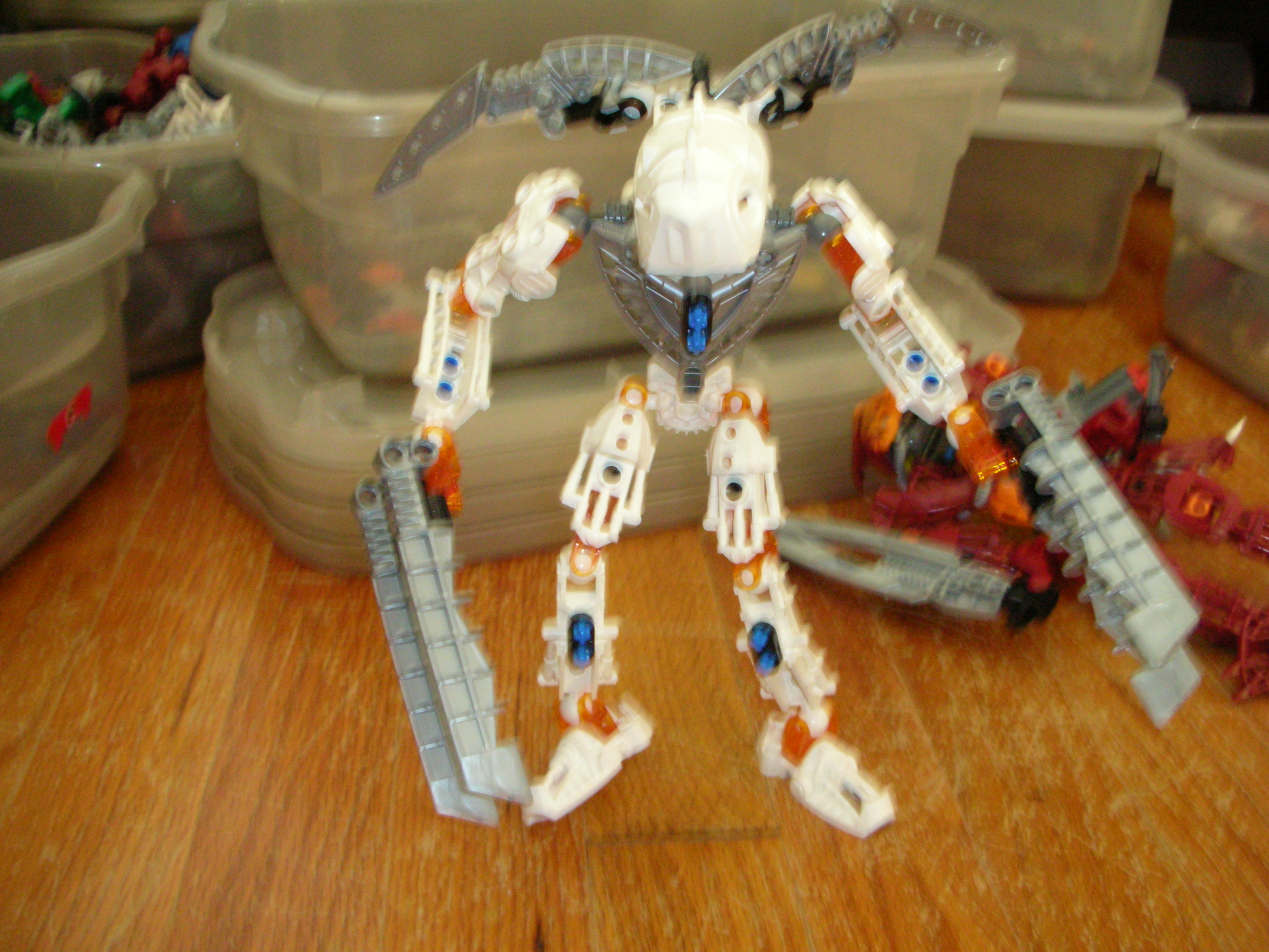 dscn2081.jpg