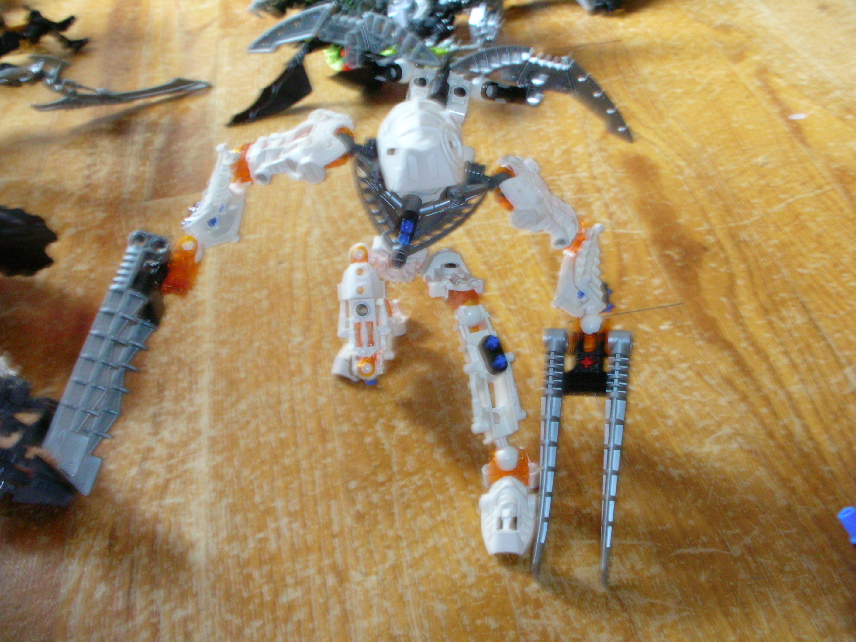 dscn2165.jpg