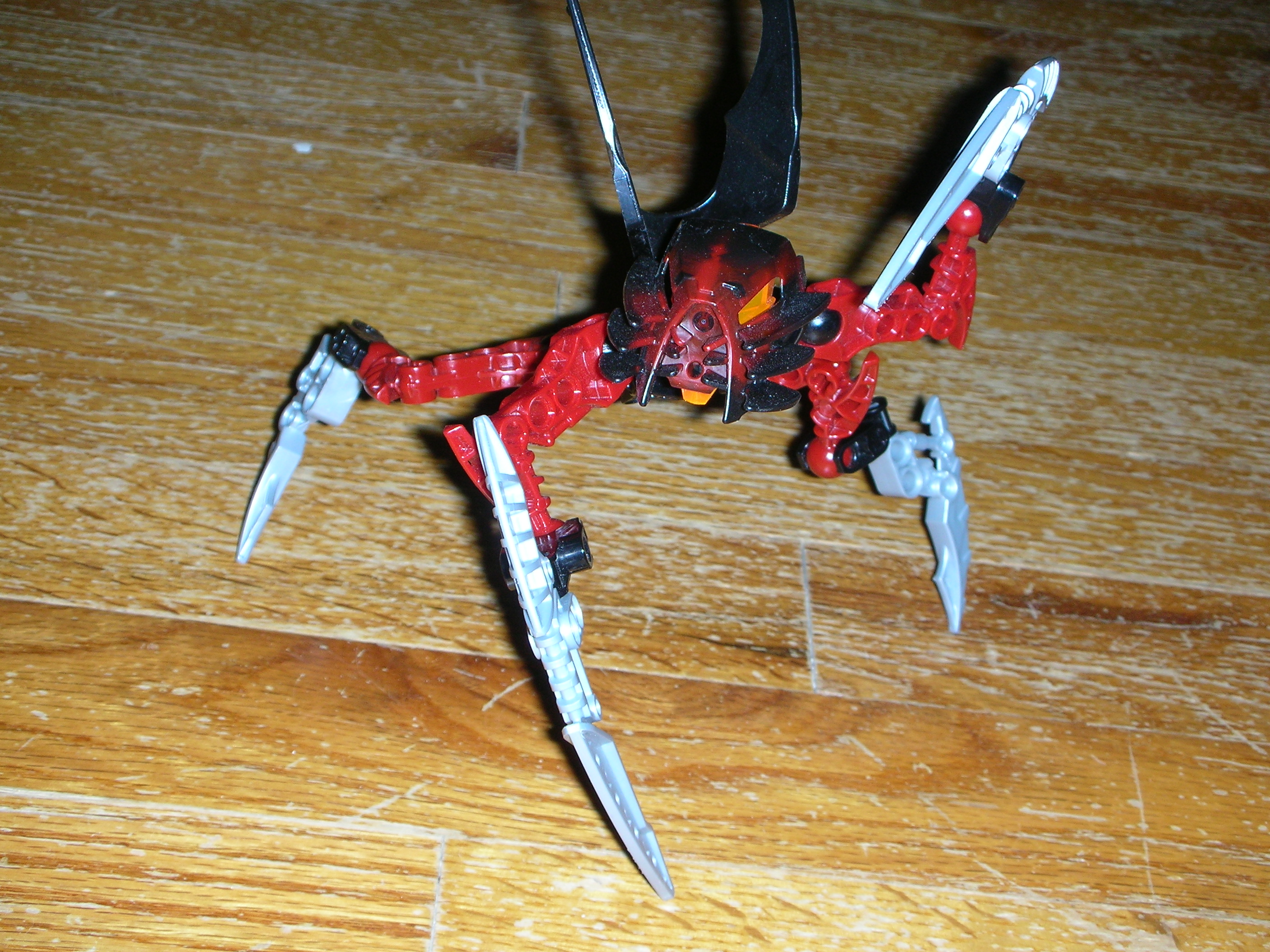 dscn2408.jpg