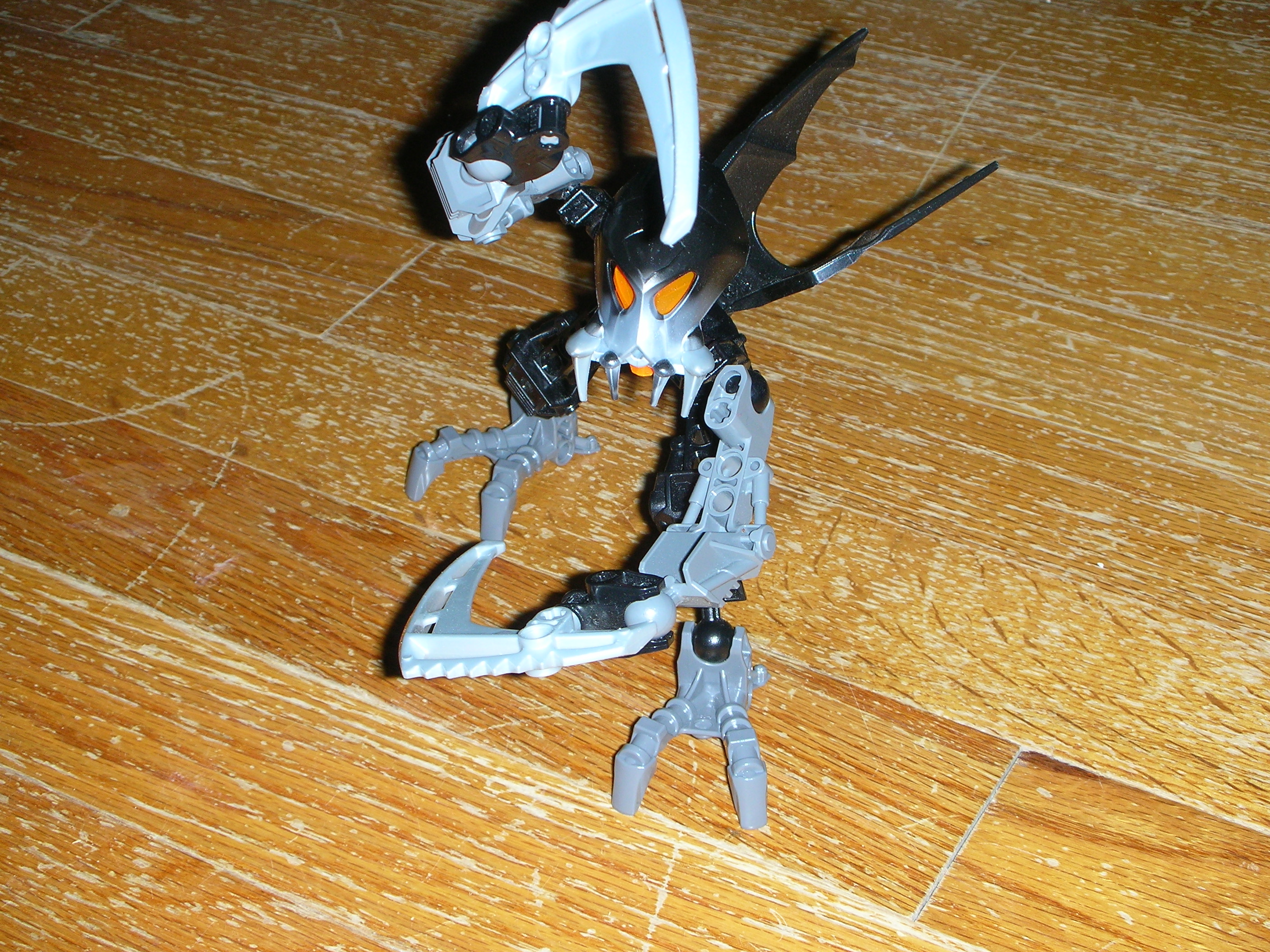dscn2409.jpg