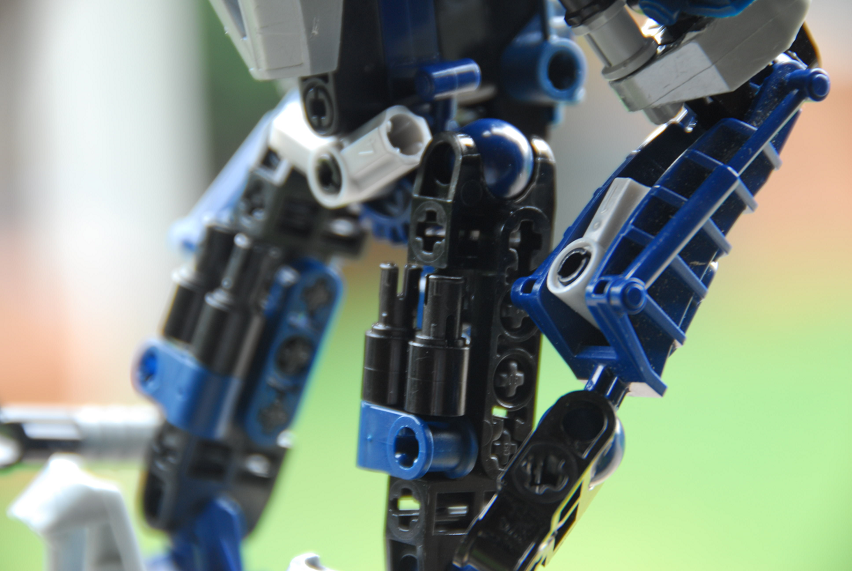 dsc_0109.png