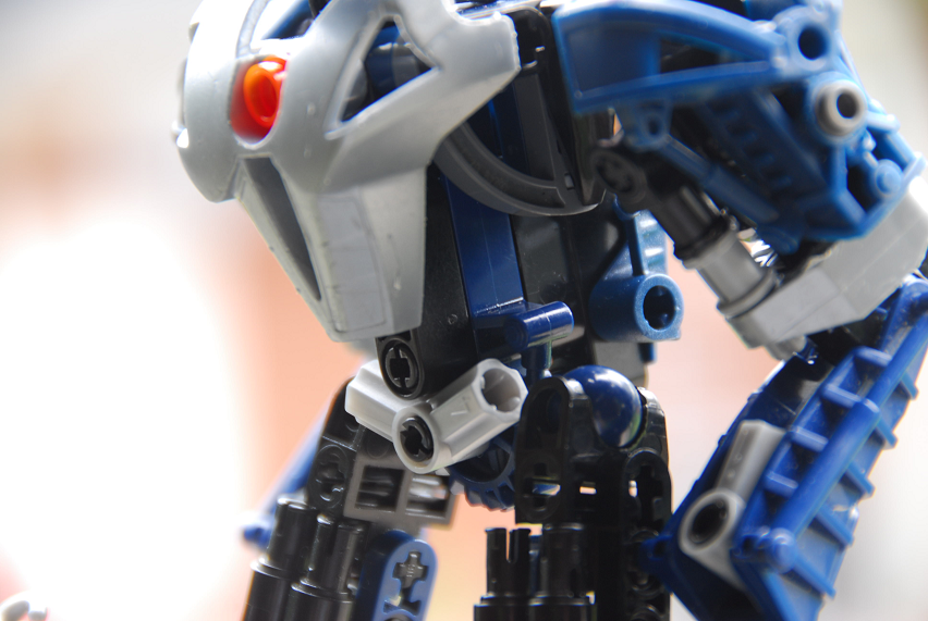 dsc_0113.png