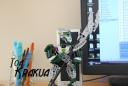 Toa-Krakua