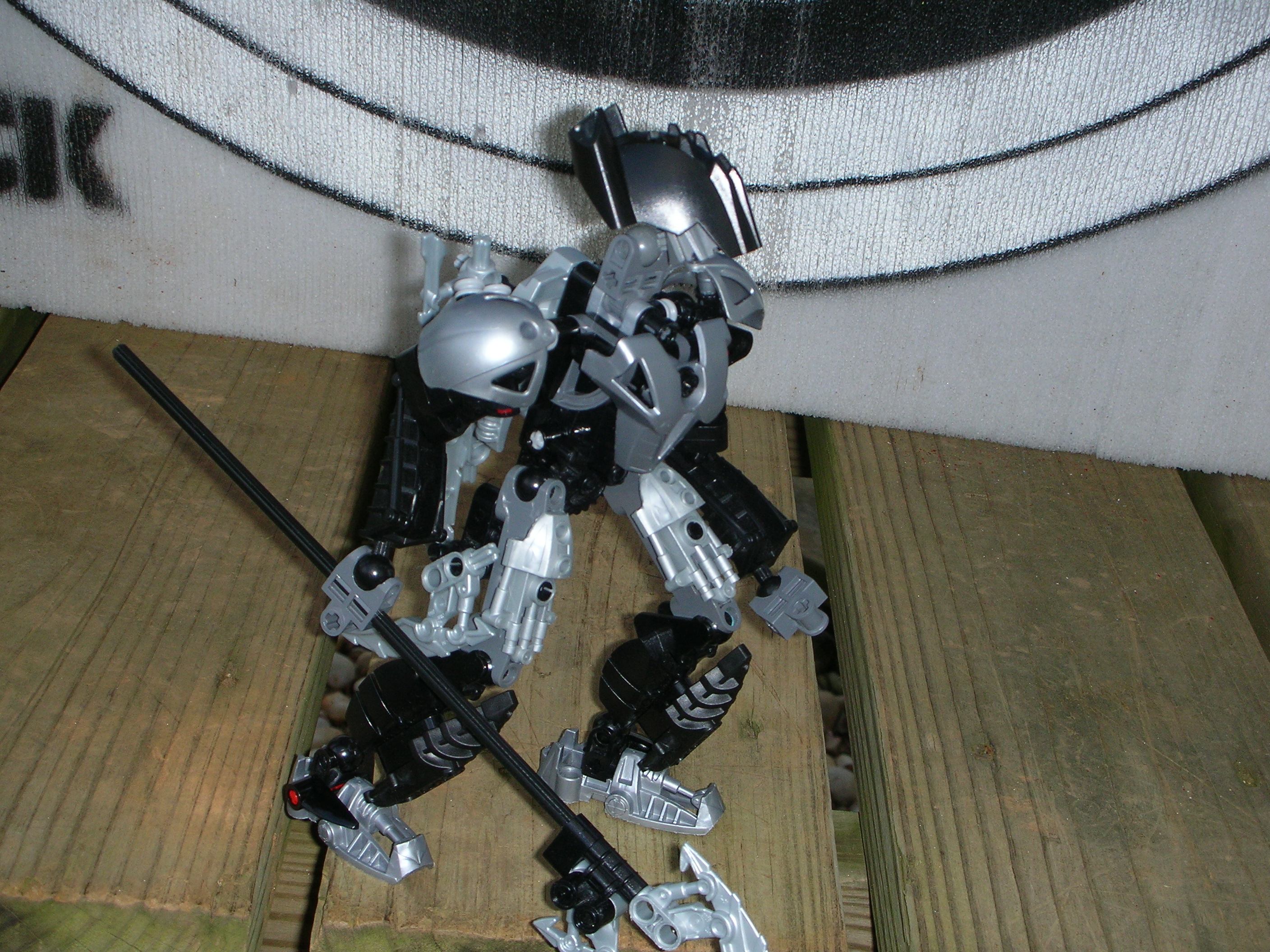 dscn2420.jpg