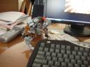 dscn2365.jpg