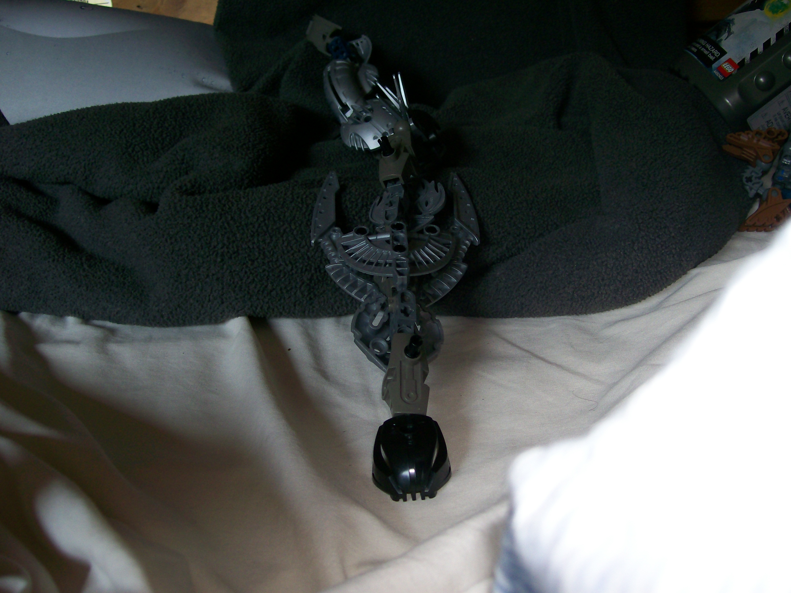 picture_313.jpg