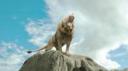 aslan.jpg