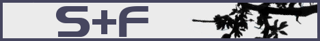 stfbanner.png