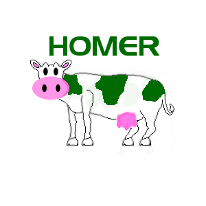 homer.png