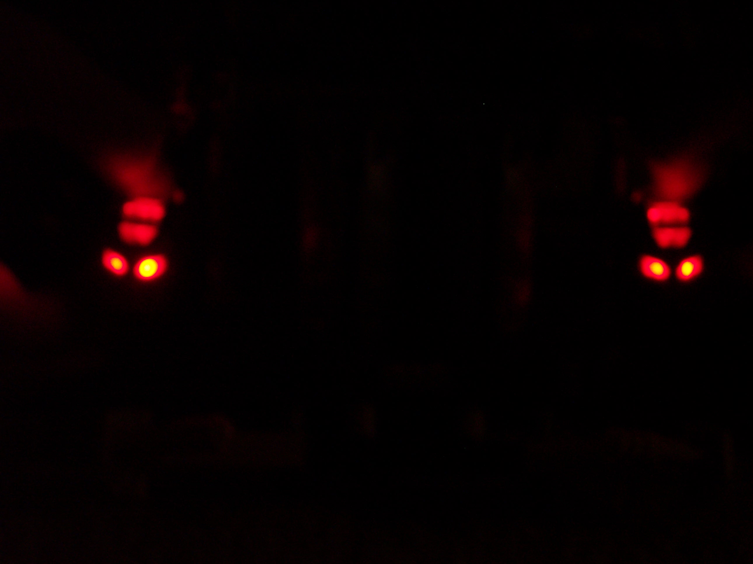 100_1656.jpg