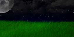 grass_2.0_copy.png