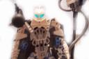 toa_colaro_head_close_up.jpg
