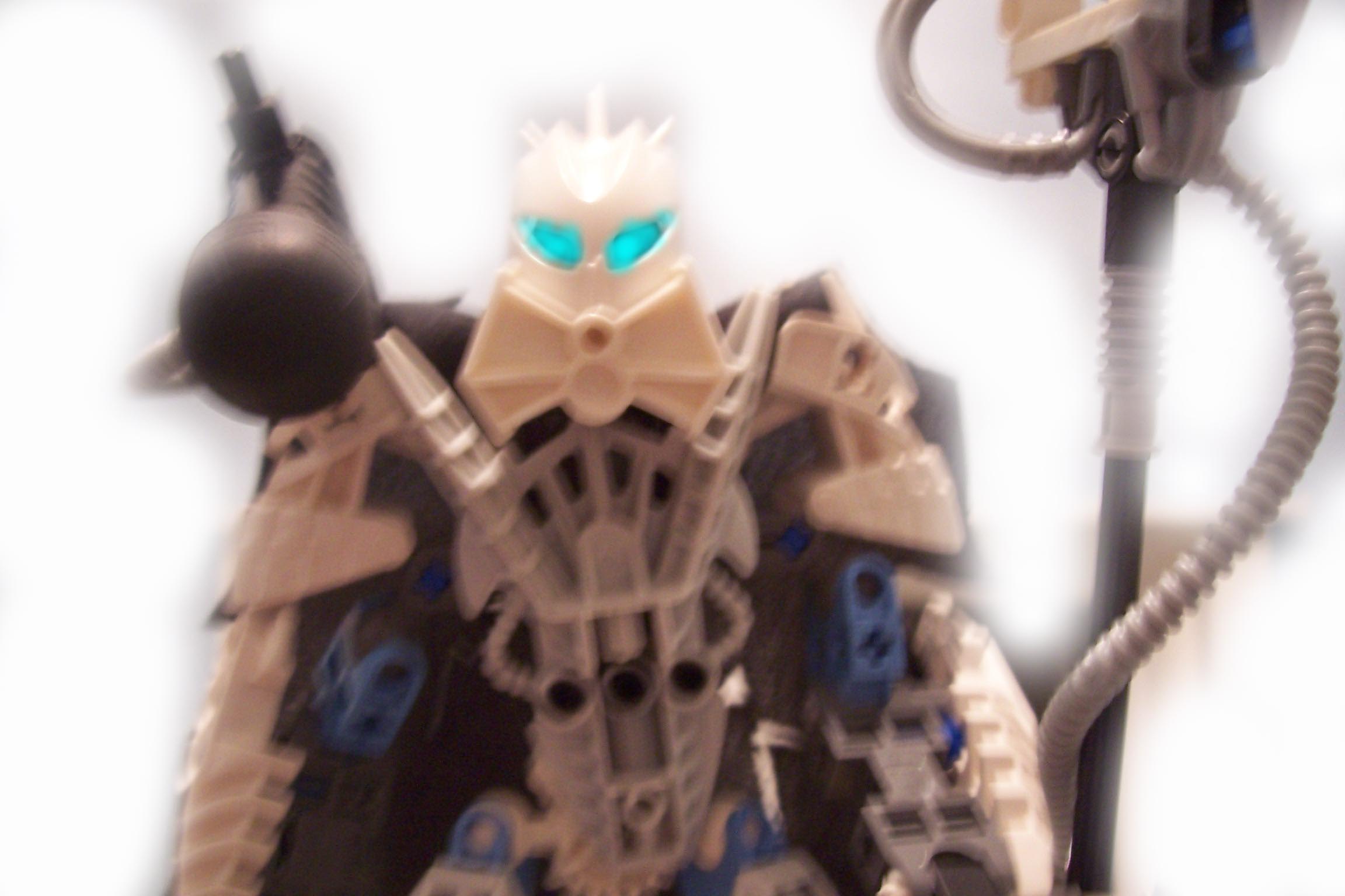 toa_colaro_head_close_up.jpg