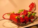 dscn3936.jpg