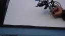 sdc10355.jpg