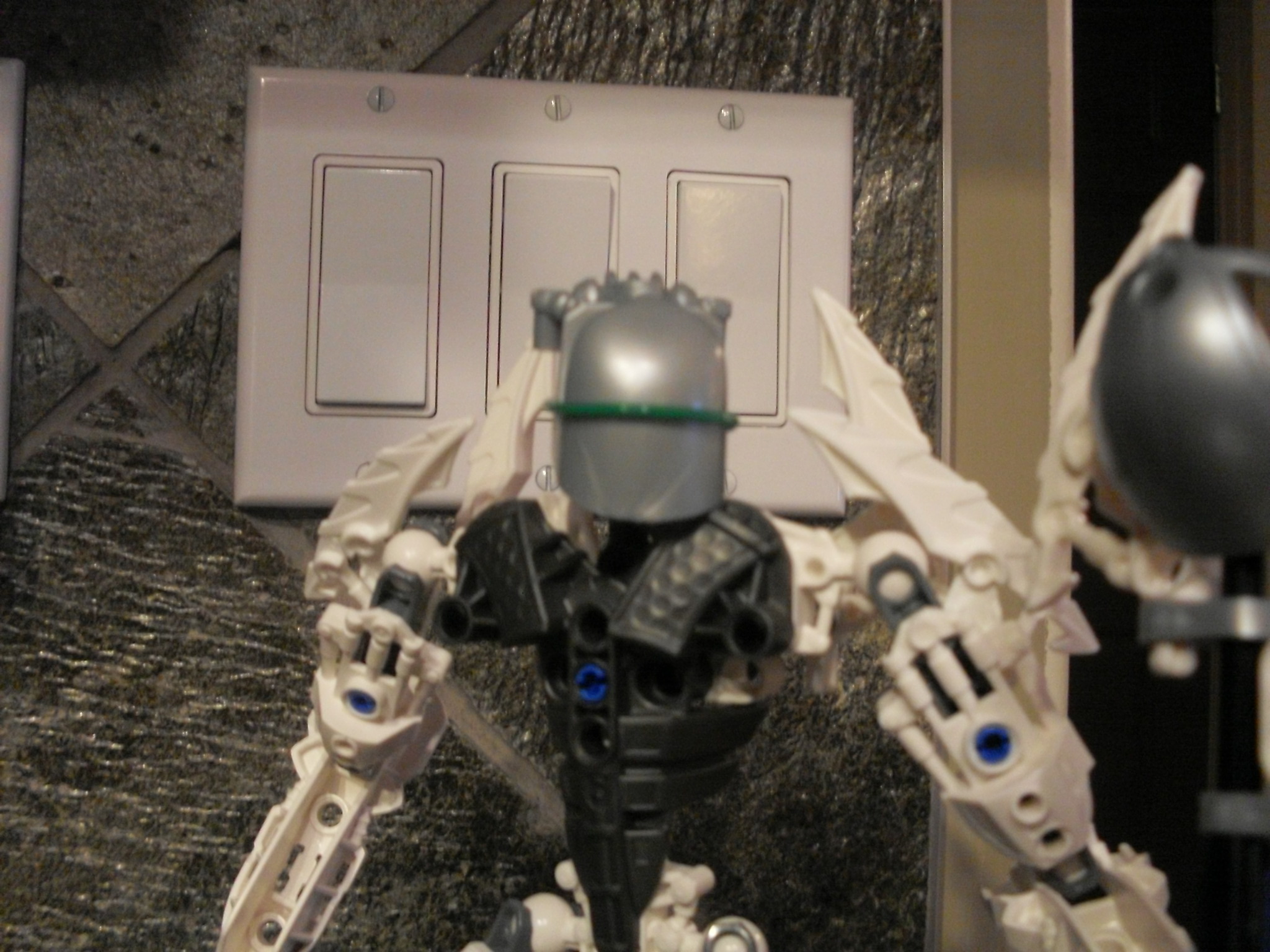 sdc11219.jpg