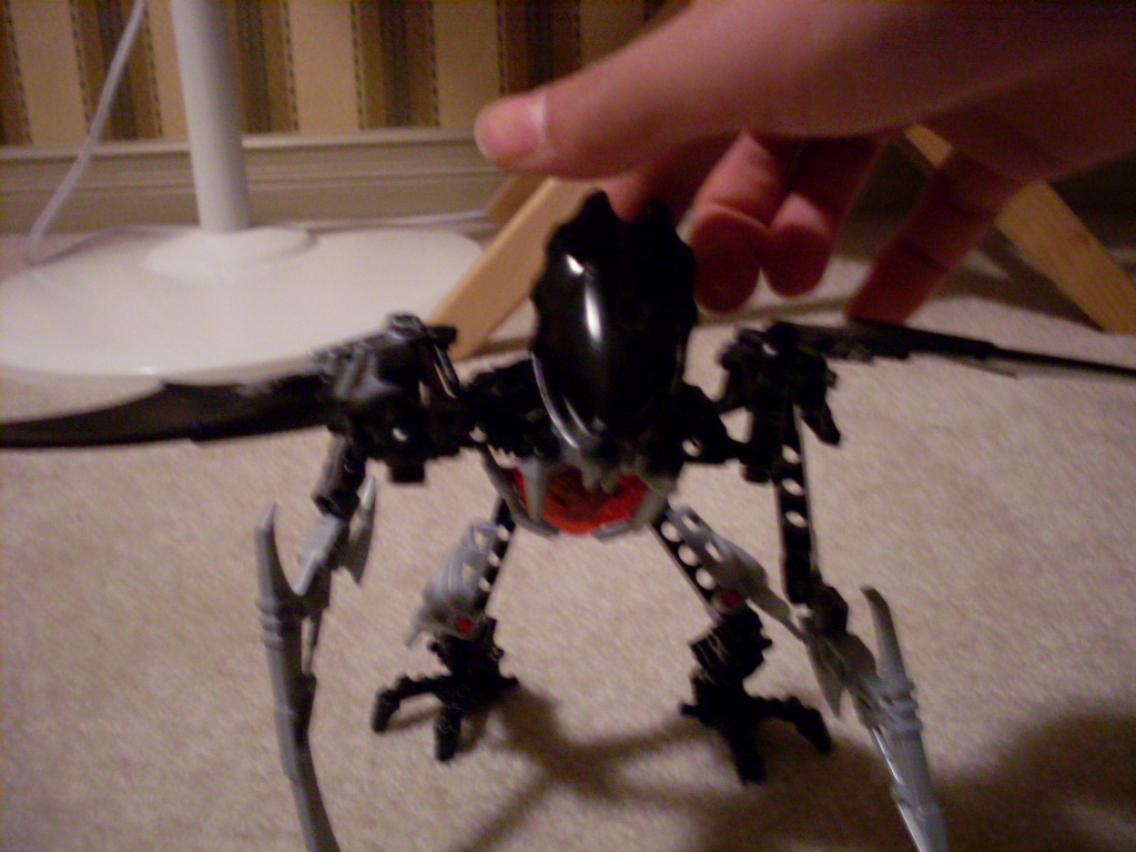 sdc10392.jpg