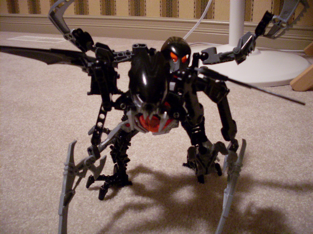 sdc10397.jpg