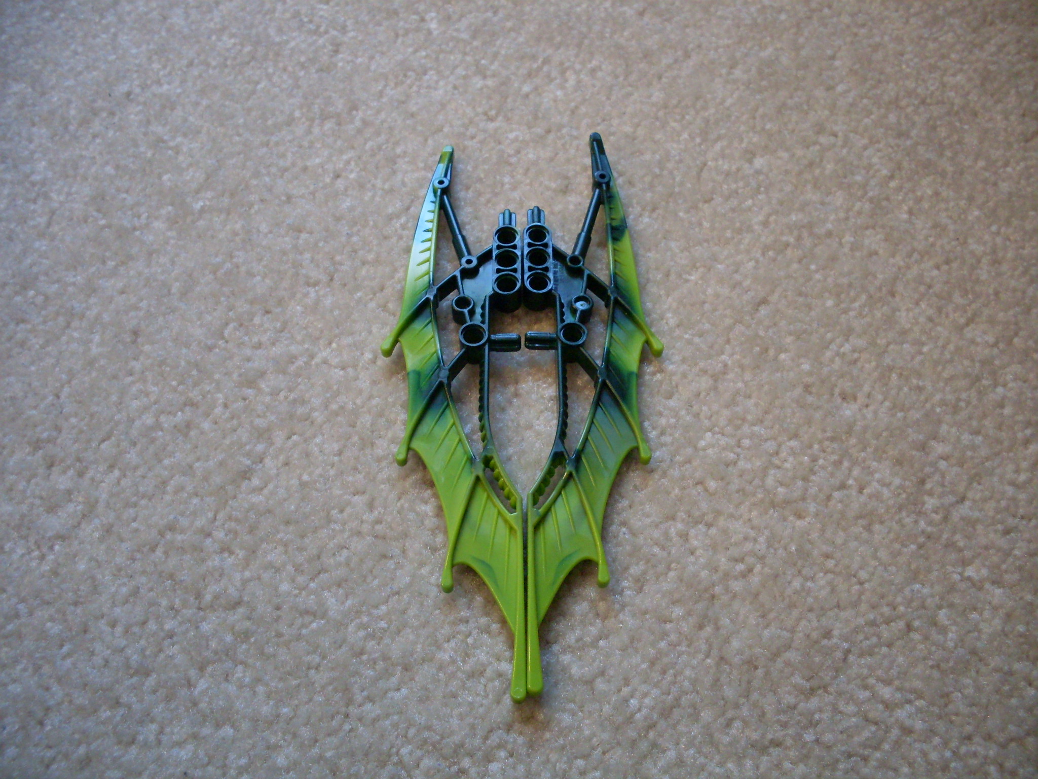 shield.jpg
