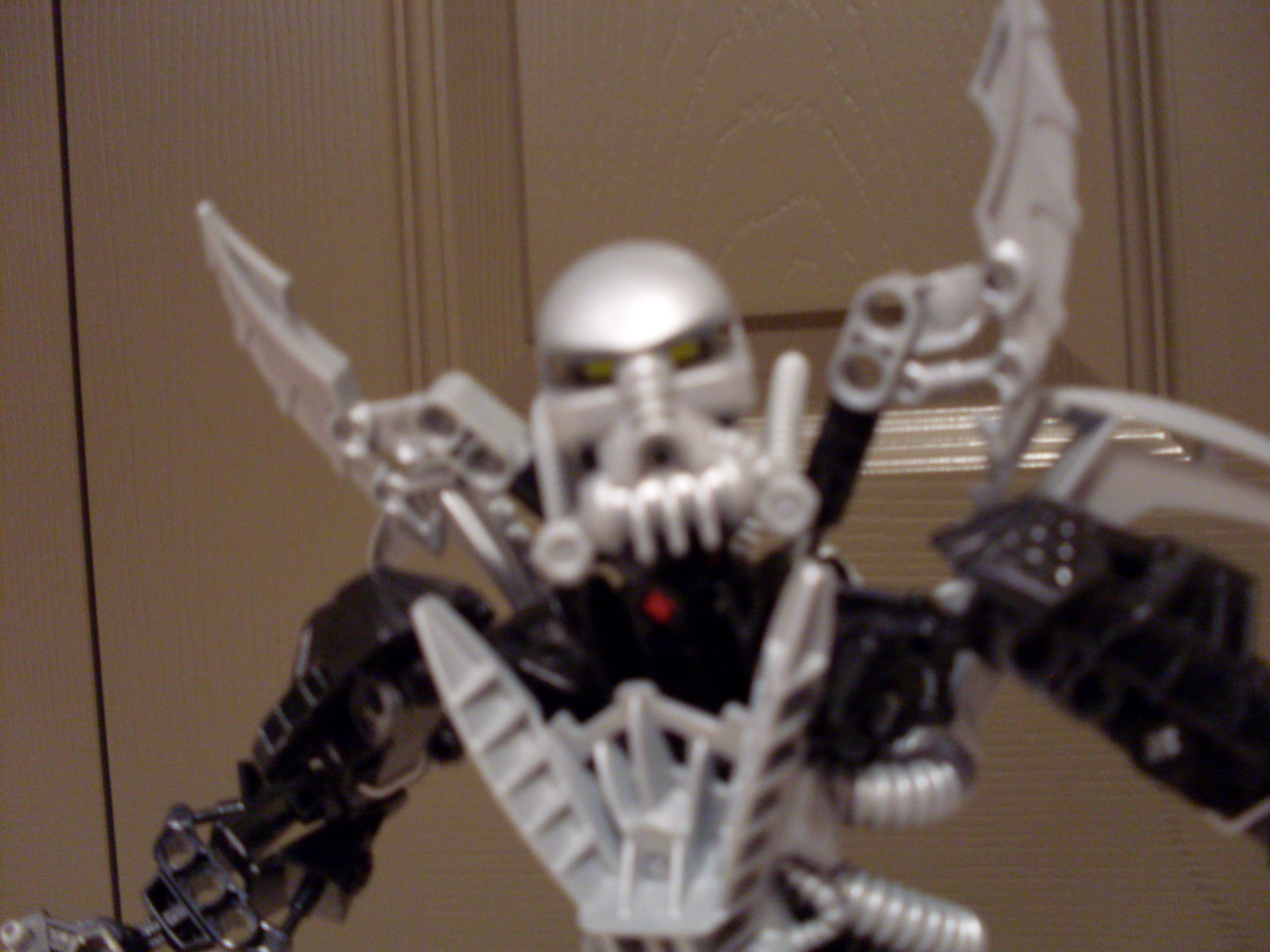sdc10251.jpg