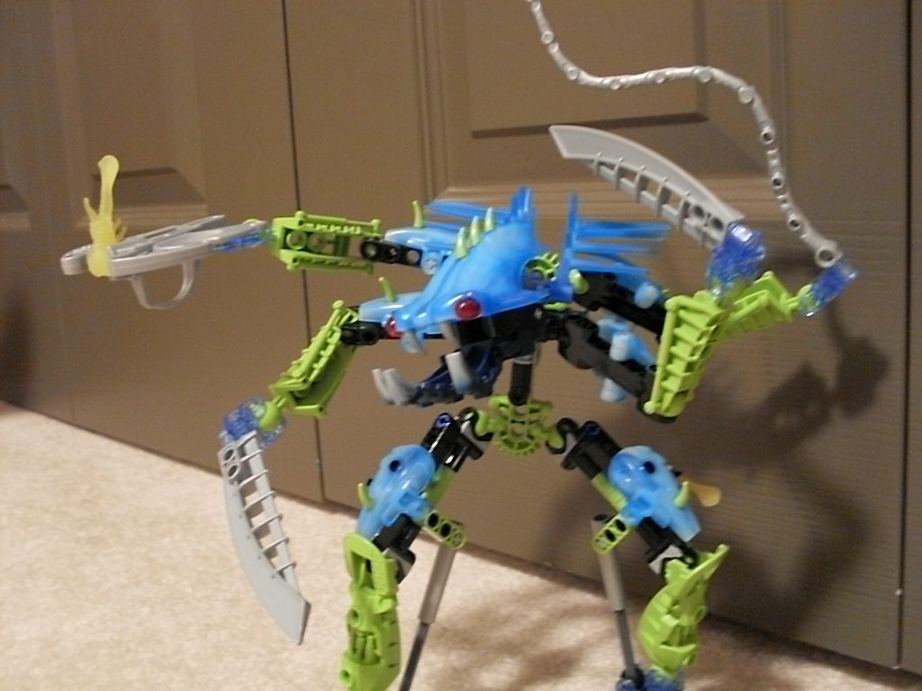 sdc10334.jpg