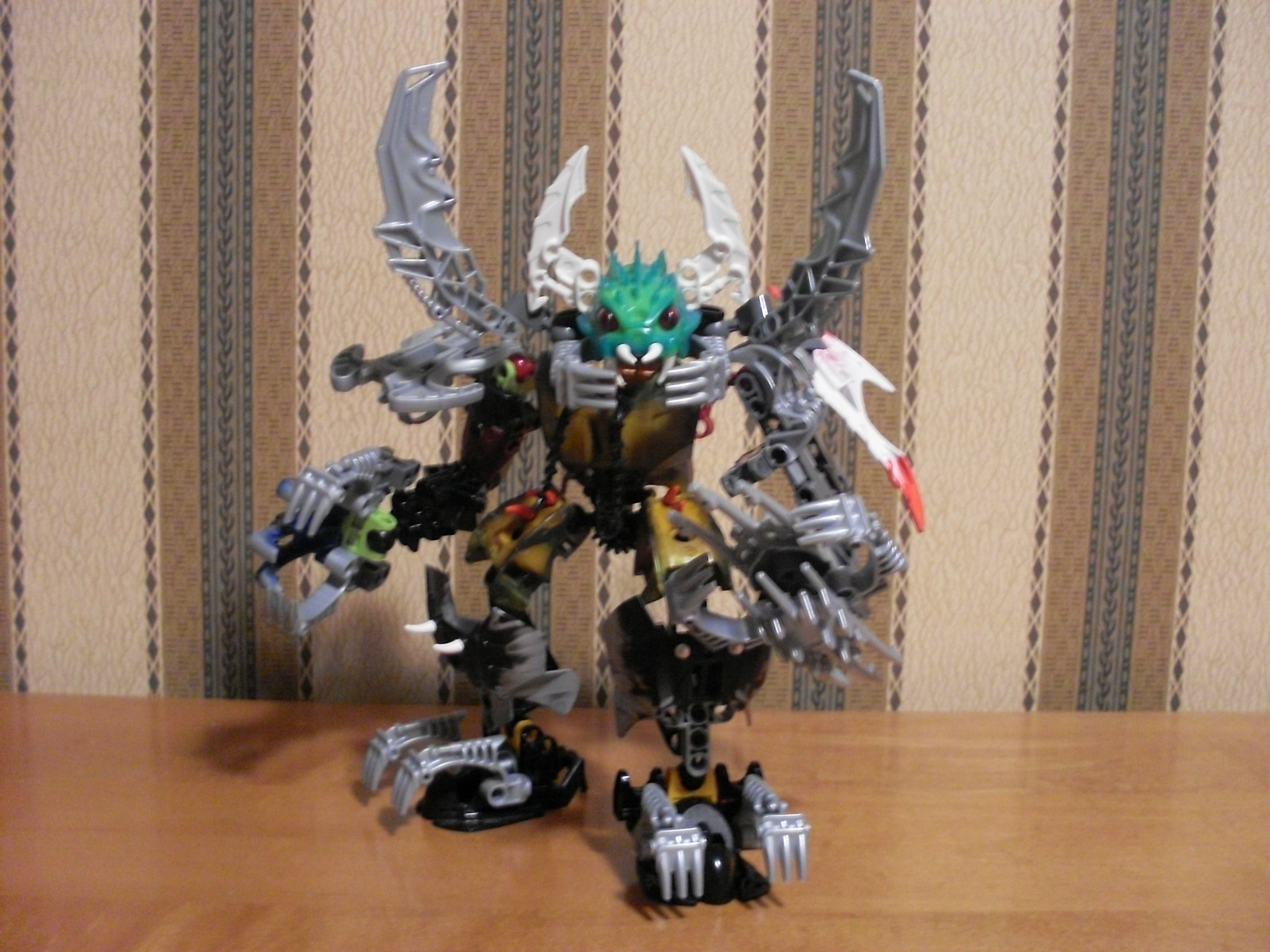 xyrak1.jpg