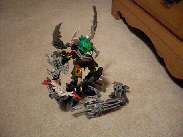 xyrak101.jpg