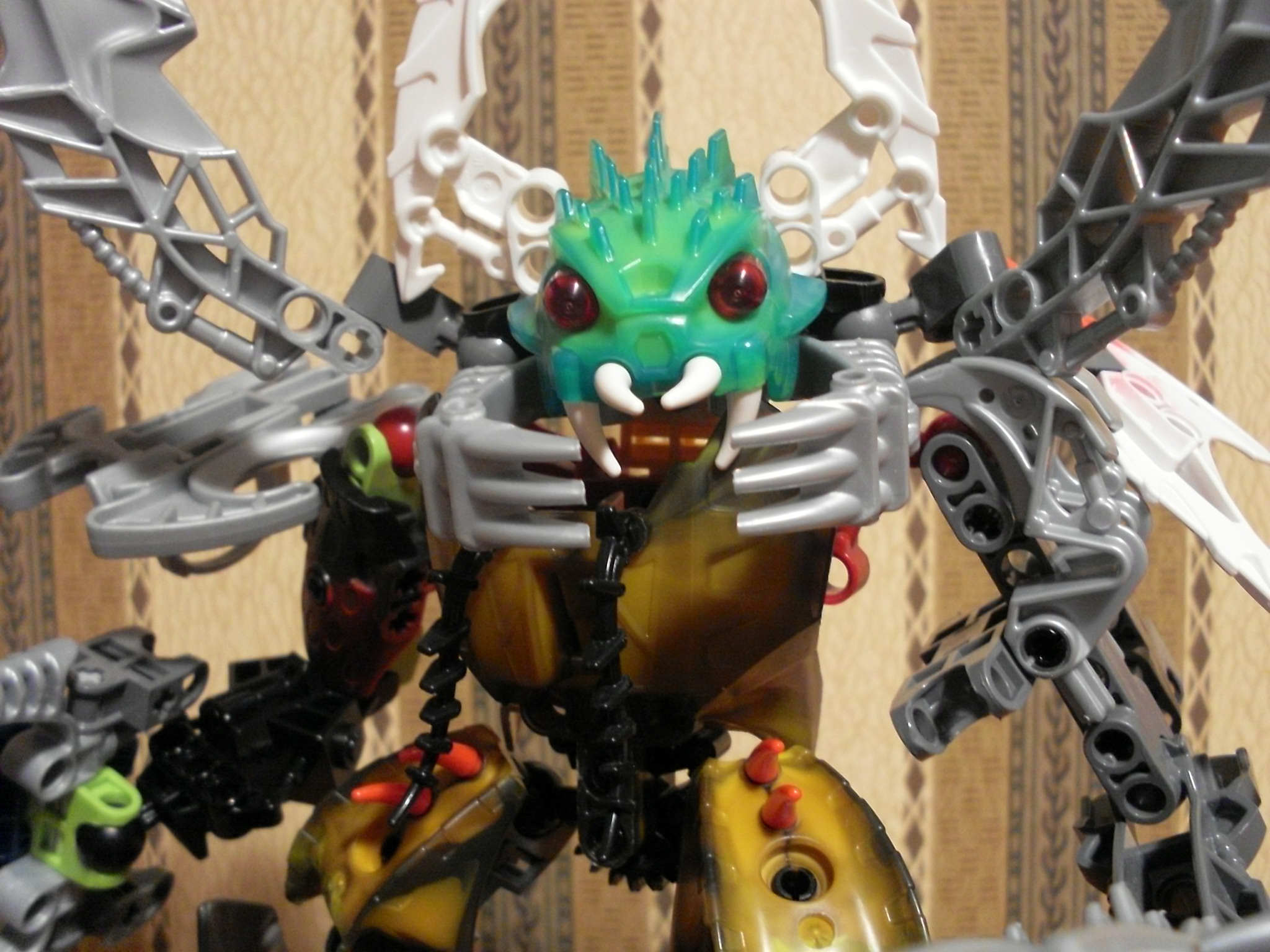 xyrak2.jpg