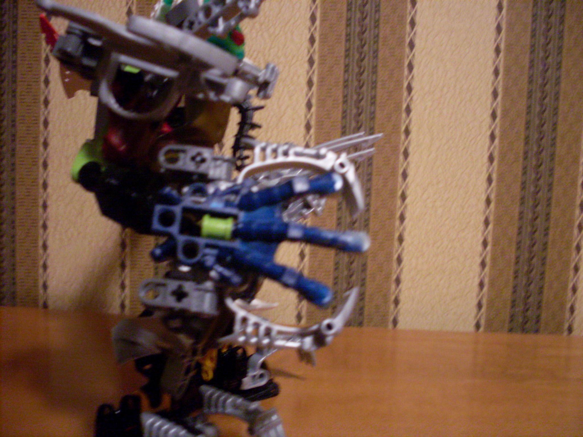 xyrak4.jpg