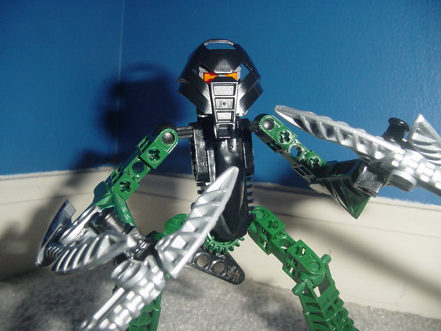 toa_hawk_3.jpg