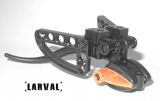 hunter_001_larval.jpg