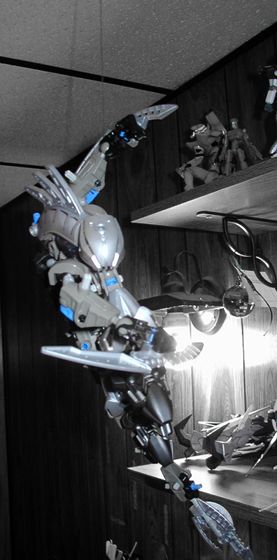 raiden_005.jpg
